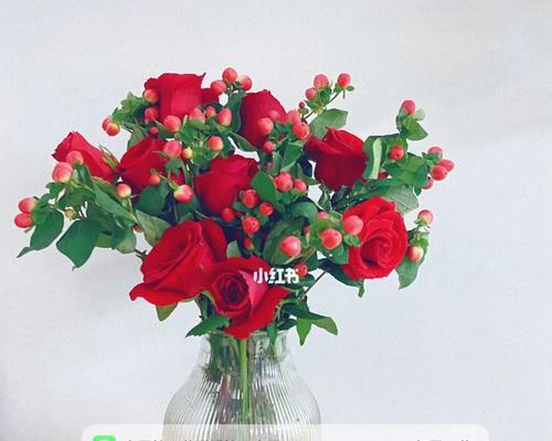 卡罗拉玫瑰花语（以卡罗拉玫瑰为媒介）