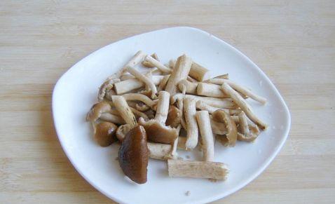 如何彻底清洗茶树菇（清洗茶树菇的步骤和技巧）