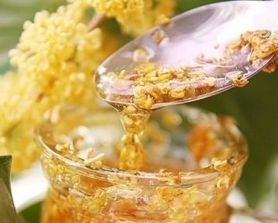 用茶叶水浇桂花树的秘密（让你的桂花树更健康的方法）