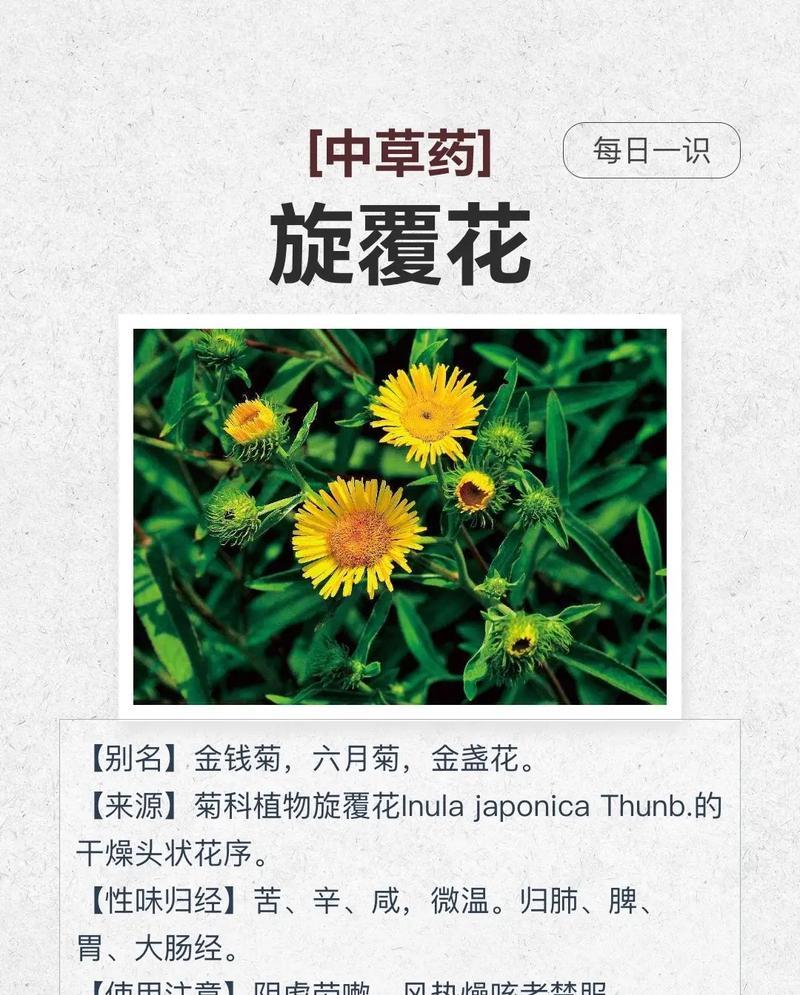 药用植物大全——常见药用植物的种类与功效（探究自然的药物——认识15种常见的药用植物）