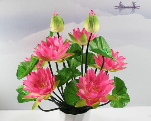 佛莲花的象征意义——超越苦难与重生（佛莲花）