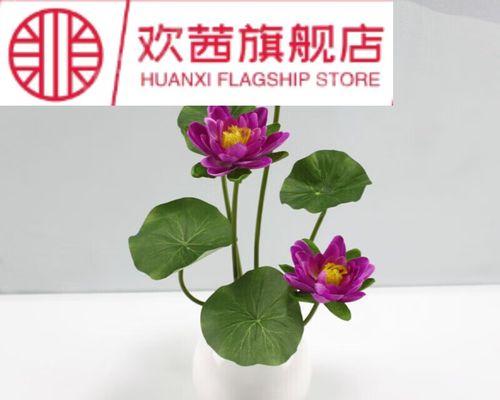 佛莲花的象征意义——超越苦难与重生（佛莲花）