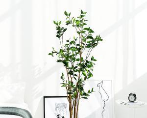 服装店里的理想花卉（打造舒适高雅的购物环境）