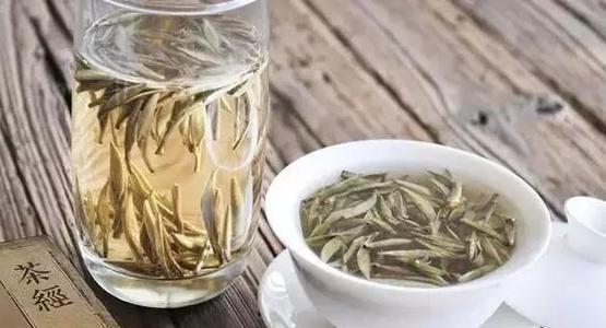 福鼎白茶的保存方法和时间（如何保存白茶保持原味与营养/白茶保存不得不知的注意事项）