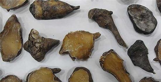 附子泡水喝，你需要知道的事情（安全性）