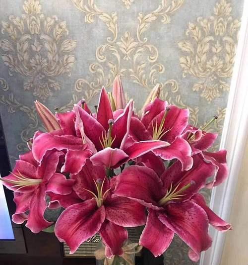 探寻索玛花的花语之美（绽放神秘的娇艳）