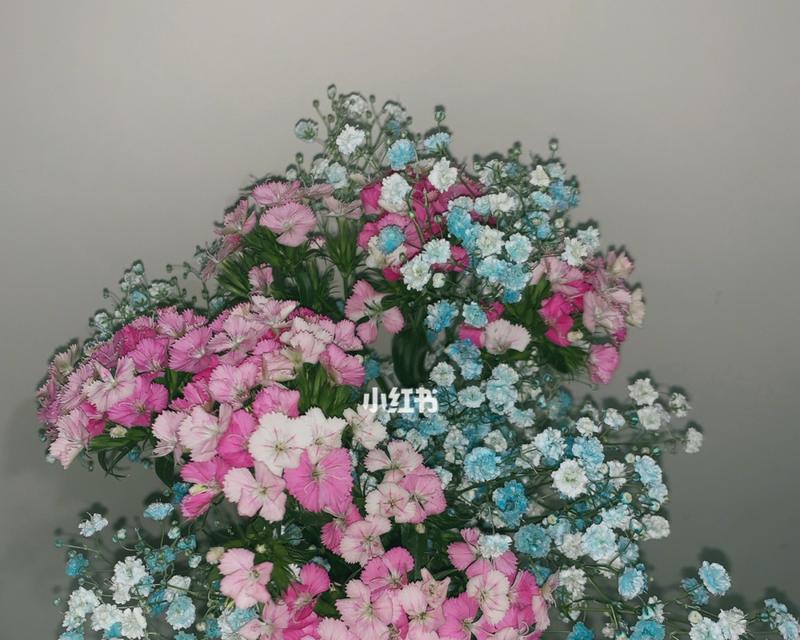 相思梅的花语与寓意（了解相思梅花的含义）