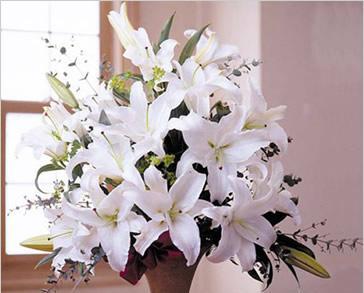 香水百合花语解读（探秘百合花的丰富寓意）