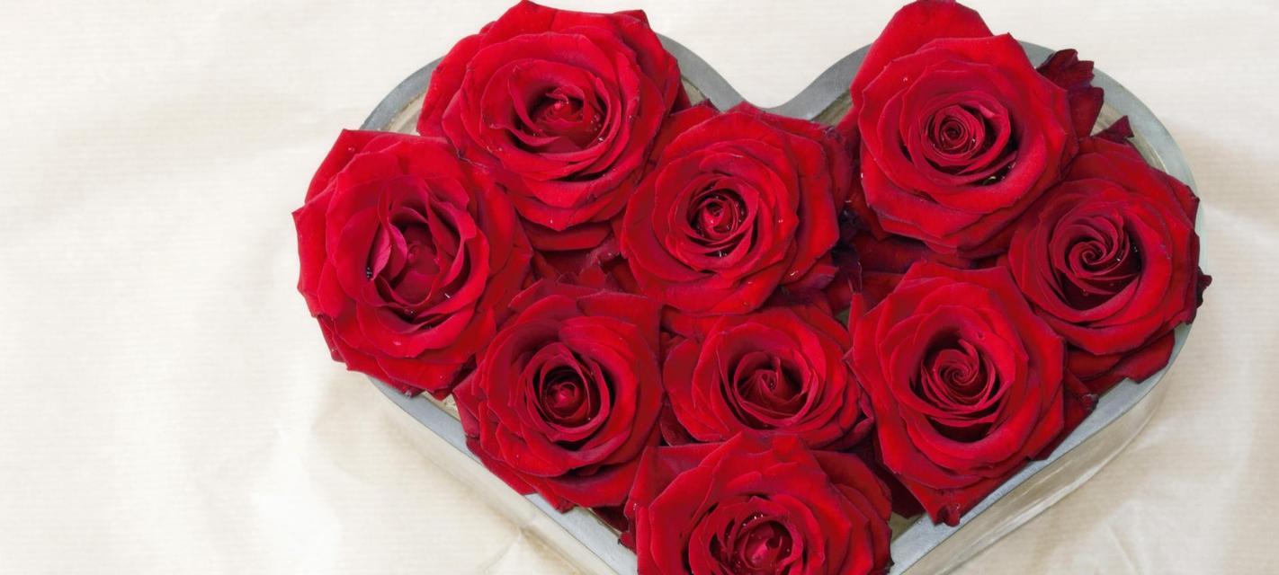 玫瑰花的性质及特征——完全花还是不完全花（揭开玫瑰花的奥秘）
