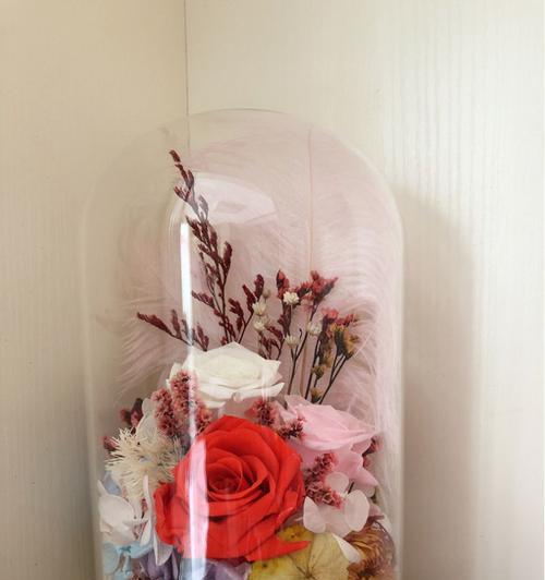 永生花的花语与寓意（探寻永生花的象征意义）