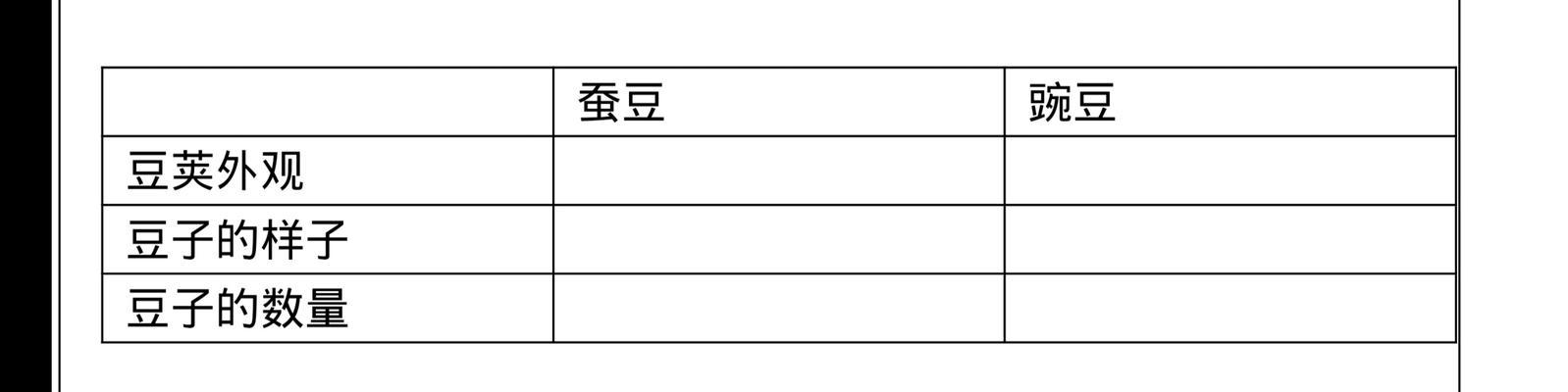 如何种植碗豆（掌握种植时间和生长周期）