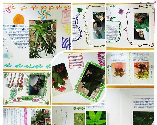 如何种植碗豆（掌握种植时间和生长周期）