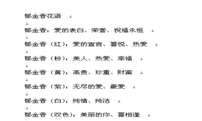 烟花菊（盛放人生之美）