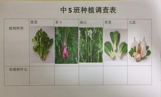 红豆种植详解（掌握红豆种植时间和方法）