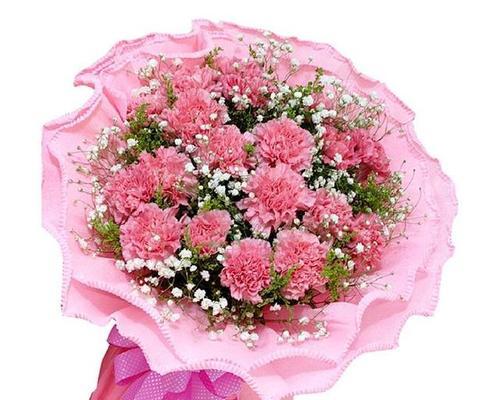 康乃馨花语是什么意思？康乃馨的寓意是什么？