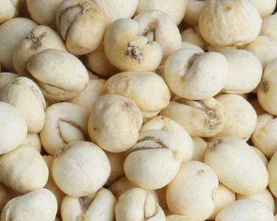 川贝是凉性还是热性食物？川贝的性味和功效是什么？