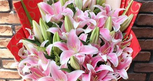 香水百合花语是什么？如何用香水百合表达情感？