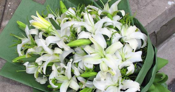 香水百合花语是什么意思？如何表达爱意？