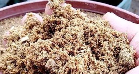 粘土掺锯末养花安全吗？有无毒性问题？