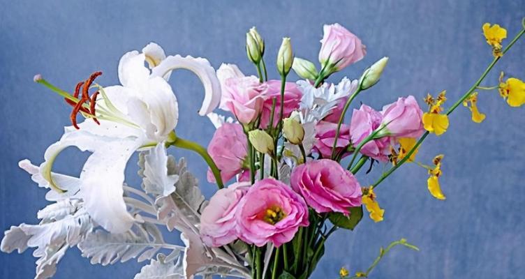 桔梗花花语是什么意思？了解其象征意义及文化背景？