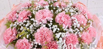 康乃馨的花语有哪些含义？不同颜色代表什么？
