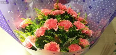 康乃馨的花语是什么意思？康乃馨代表的含义有哪些？