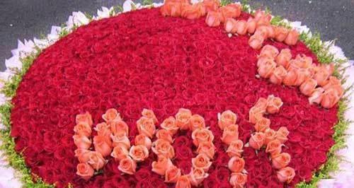 玫瑰花十一朵代表什么意思？花语背后的含义是什么？