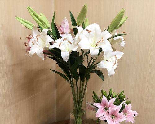 白百合花代表什么含义？白百合花的象征意义有哪些？