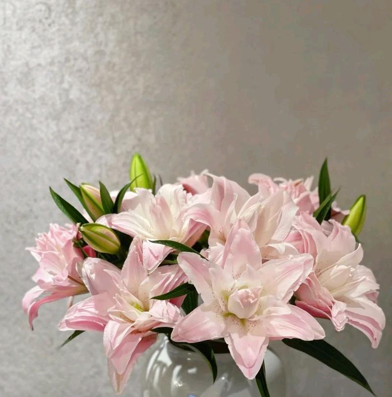 白百合花花语是什么？如何用白百合表达爱意？