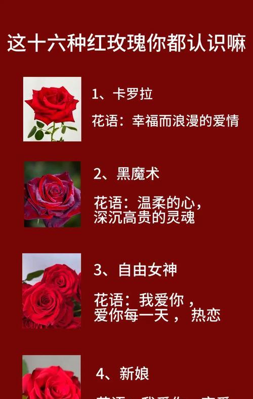 送19朵红玫瑰代表什么？花语含义是什么？