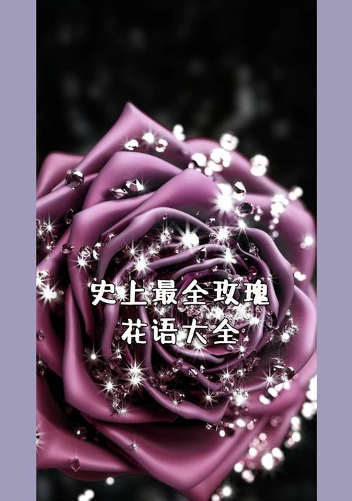 99朵金色玫瑰花代表了什么？它的花语有何特殊含义？