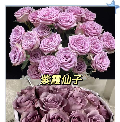 代表逐渐成长的花语有哪些？