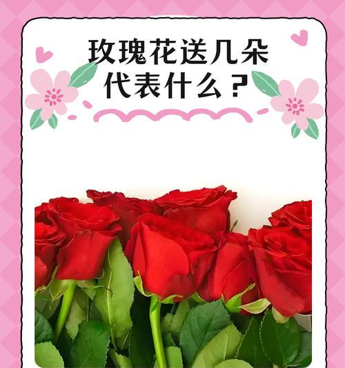 四根玫瑰花象征着什么？