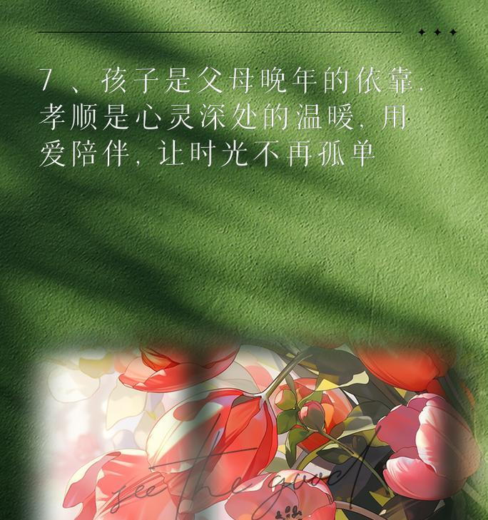 哪种花代表孝顺？花语中孝的意义是什么？
