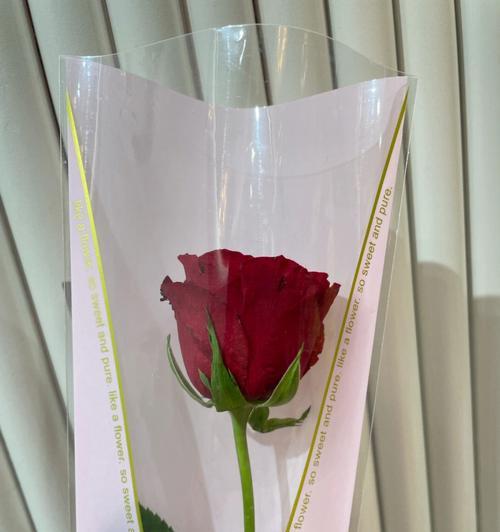 前任送玫瑰花合适吗？哪种玫瑰花更适合表达情感？