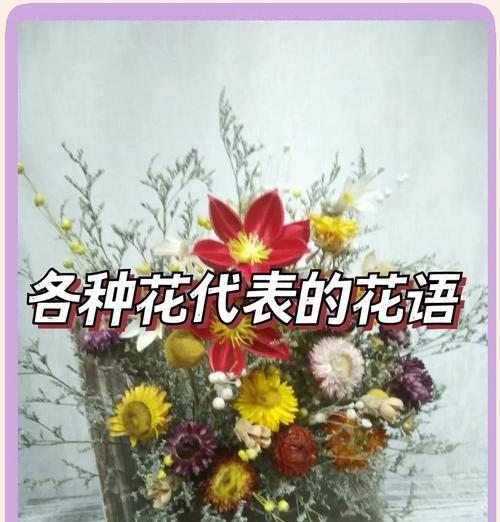 熏衣草下的花语是什么？它象征着什么？