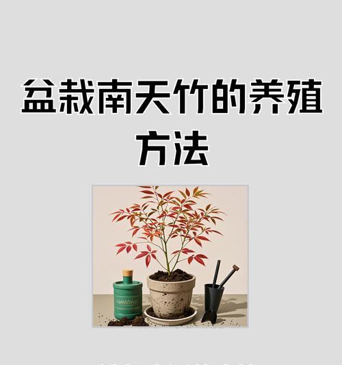 盆栽花卉施肥技巧有哪些？