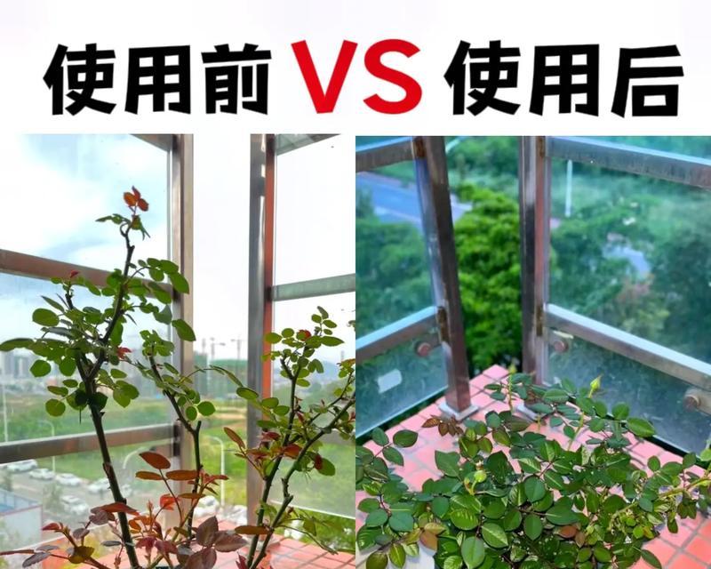 如何给植物施肥？植物施肥的最佳时间和方法是什么？