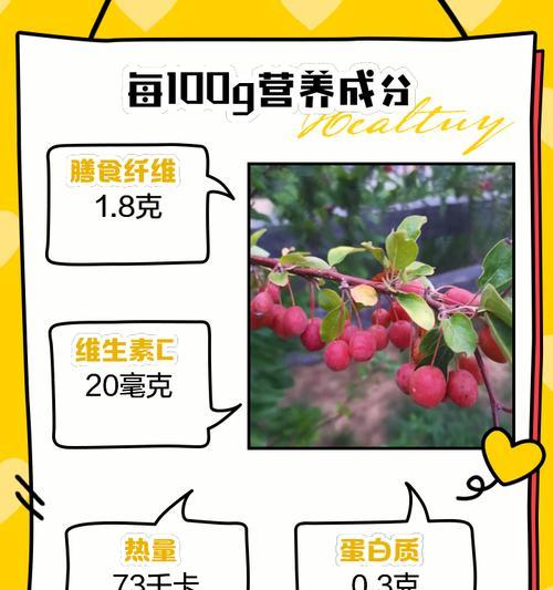 贴梗海棠果实食用方法是什么？有哪些注意事项？
