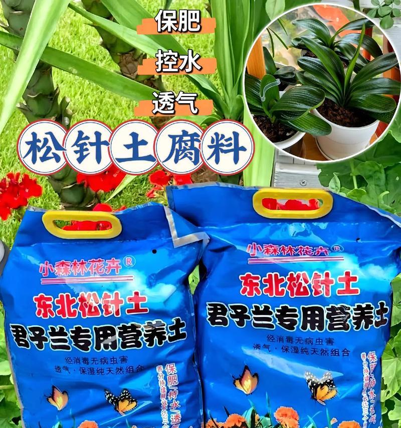 自制养花肥料的方法是什么？有哪些注意事项？