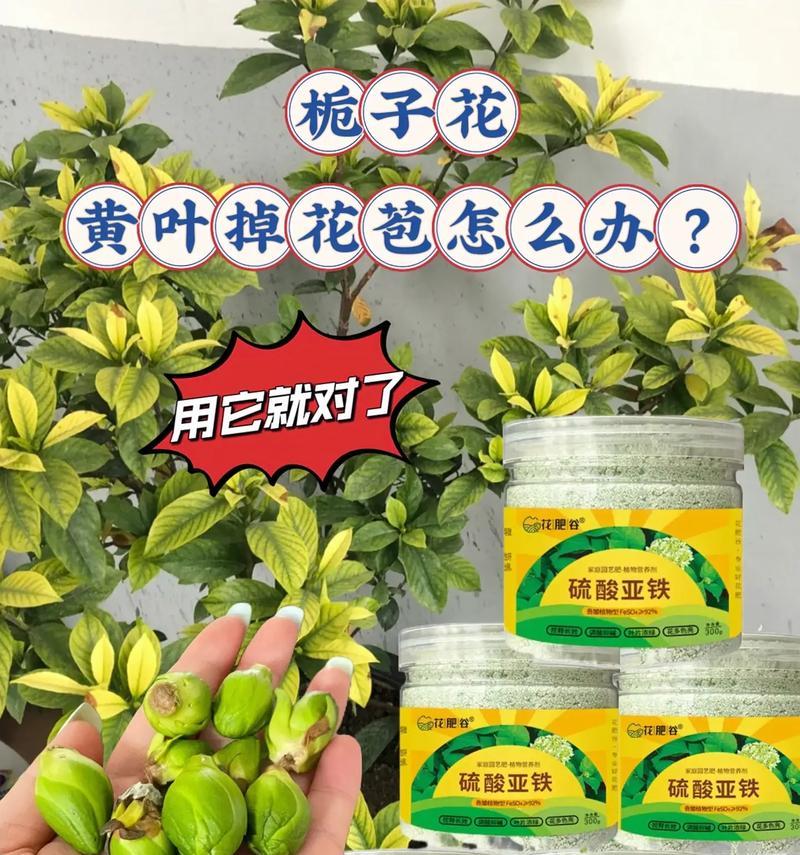 自制养花肥料的方法是什么？有哪些注意事项？