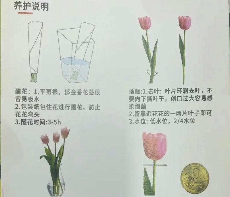 牡丹花浇水的正确方法是什么？如何避免浇水不当？