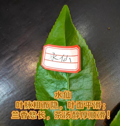福建有哪些著名的茶叶品种？它们的特点是什么？