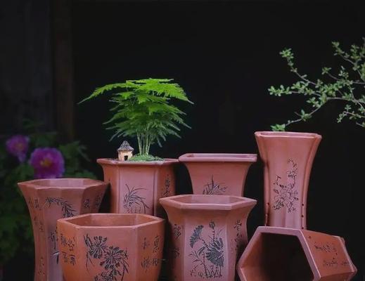 哪种花盆最适合养花？不同花盆的优缺点是什么？