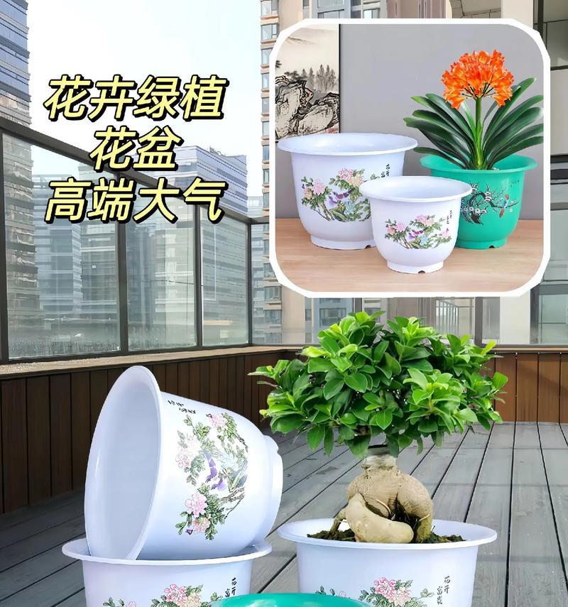 哪种花盆最适合养花？不同花盆的优缺点是什么？