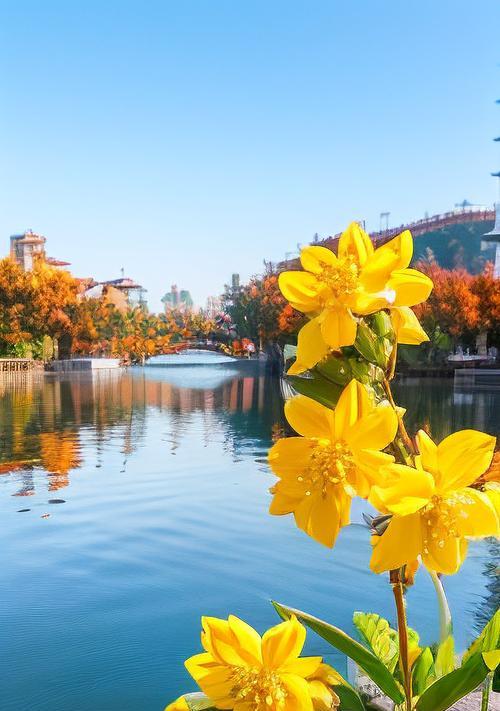 迎春花还有哪些别称？迎春花的养护要点是什么？