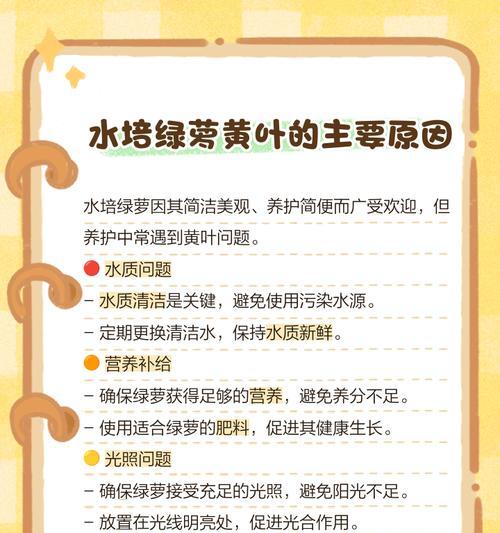 绿箩发黄的叶子怎么办？如何处理黄叶问题？