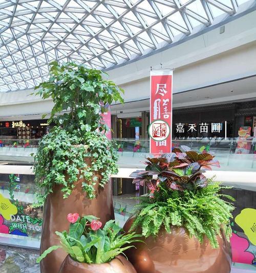 西安地区花卉苗圃有哪些推荐？如何选择合适的苗圃？