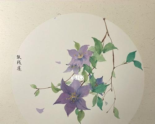 铁线莲的魅力与品种推荐？九款惊艳花卉让你领略迷人魅力是什么？