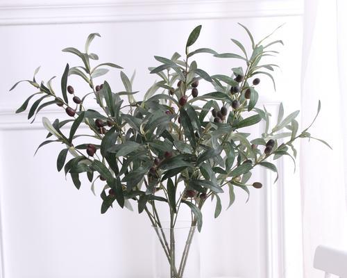 这几种植物超级好养？掐个枝就能活的植物有哪些？